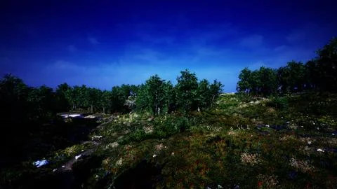 Tree Forrest in the Mountains Illustrazione stock
