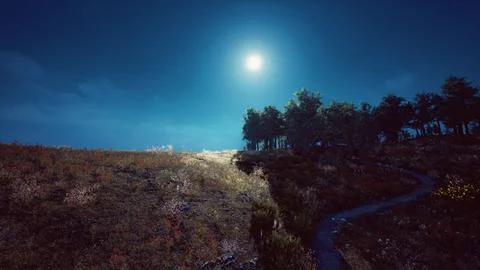 Tree Forrest in the Mountains Illustrazione stock