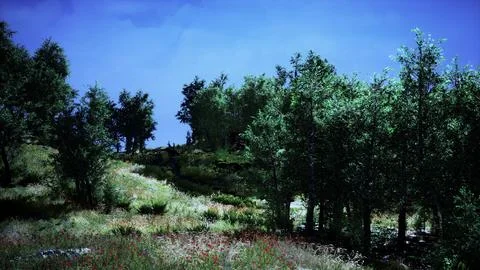 Tree Forrest in the Mountains Illustrazione stock