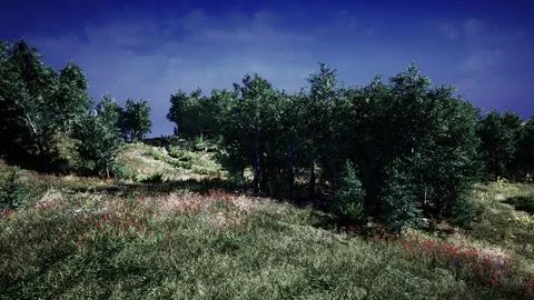 Tree Forrest in the Mountains Illustrazione stock