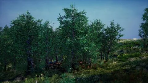 Tree Forrest in the Mountains Stock Illustration