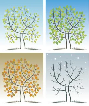 Tree in the four seasons Illustrazione stock