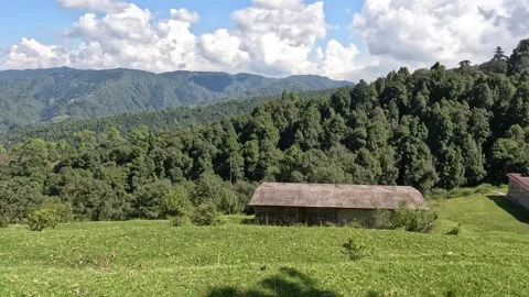 Tree Framed Himalayan Forest Landscape with Green Meadows and Mountain Rang.. Stock Footage 337544603