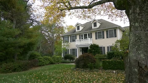 Tree framed house Stock Footage 142037283