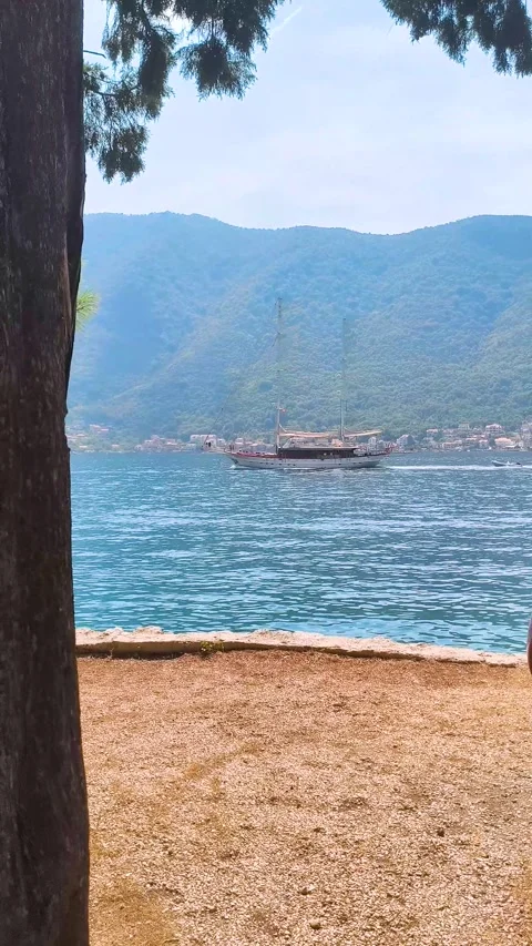 Tree framed view of island in blue coastal bay Stock Footage 340533341