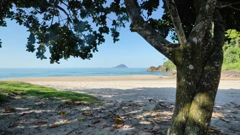 Tree-Framed View of Tropical Sandy Beach and Distant Island 動画素材 342996337