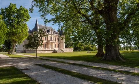 Tree framed Wine maker Chateau Lamothe-Bergeron Stock-Fotos