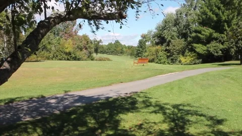 A tree frames part of an unidentifiable golf course Stock Footage 329783858