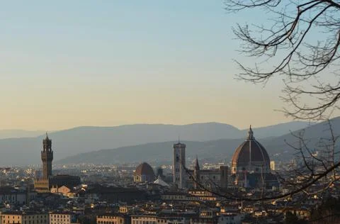 A tree frames a view over Florence's Duomo. Stock Photos