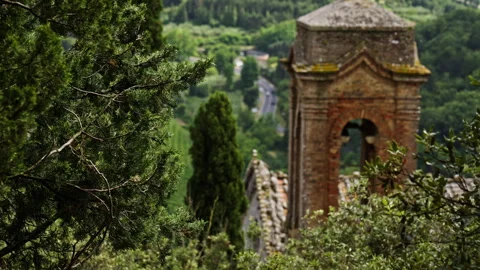 Tree Framing Historic Bell Tower in Montepulciano Stock Footage 246880507