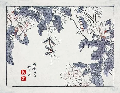 Tree Frog and Crane Flies among Azaleas  Japanese Art Illustration Stock Illustration