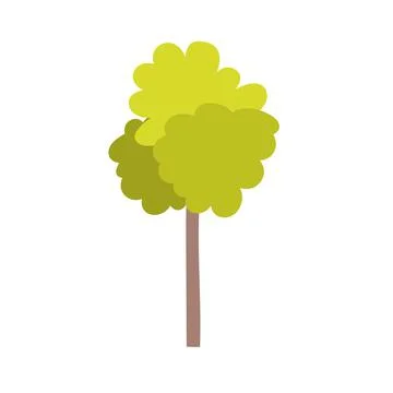 Tree frond vegetation Stock Illustration