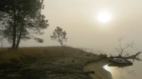 A tree in front of a building Stock Footage 156024057