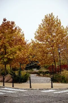 A tree in front of a building Stock Photos