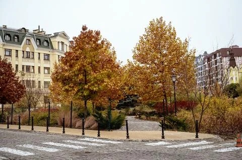 A tree in front of a building Stock Photos