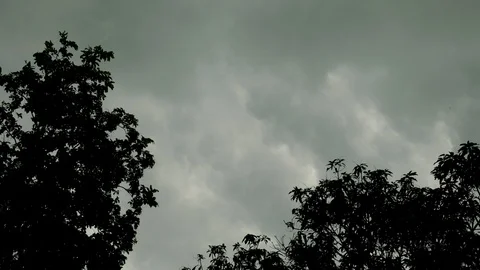 Tree on front Dark clouds background, video 4k Stock Footage 91331897