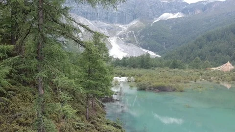 Tree in front of Himalaya mountains with a clear lake Video stock 117986984