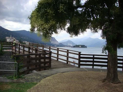 Tree in front of a lake Foto stock