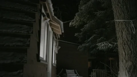 Tree in front of a lit house at night Stock Footage 104515235