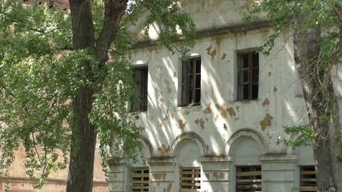 A tree in front of old a house. Old Ruins Stock Footage 130138602