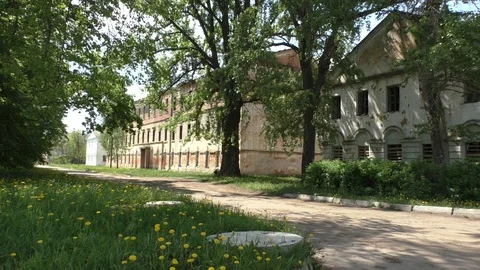 A tree in front of old a house. Old Ruins Stock Footage 130139945