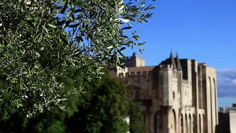 Tree in front of the palace of the popes with blue sky Stock Footage 82892993