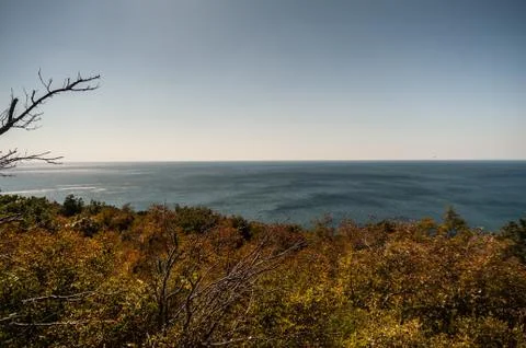 A tree in front of a sunset Stock Photos