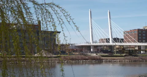 Tree In Front of White Bridge 4K 23.98 Rack Focus Stock Footage 132525380