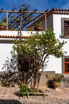 A tree is in front of a white building with a balcony Stock Photos