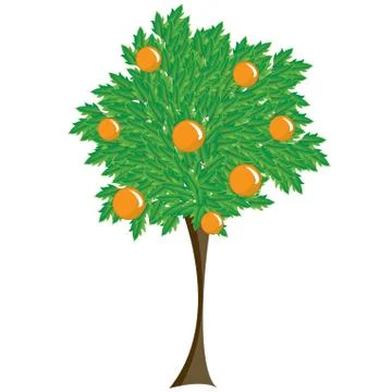 Tree with fruit Stock Illustration