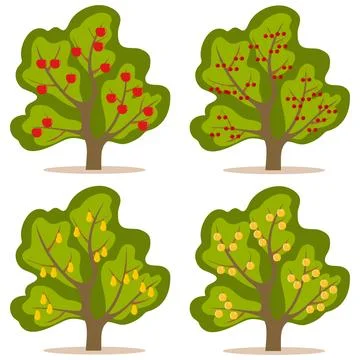 A tree with fruit Illustrazione stock