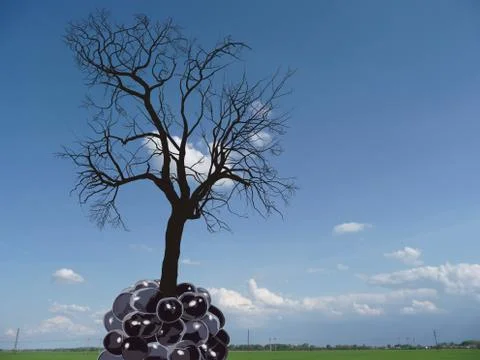 Tree of fruit mulberry Stock Illustration