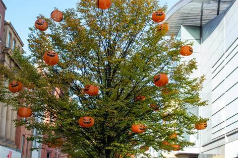 A tree full of Halloween pumpkin lanterns Stock Photos