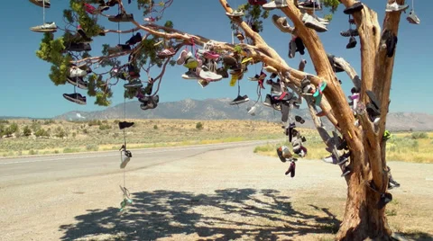 Tree full of Shoes Vidéo 32287698