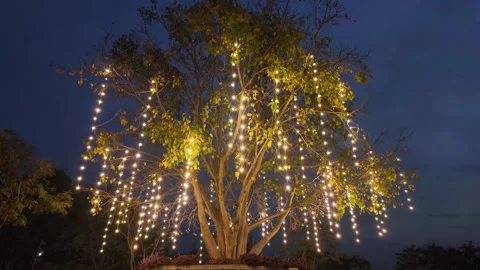 Tree in the garden is decorated with lights Stock Footage 264724661