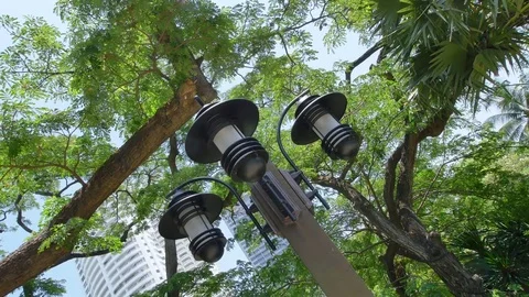 Tree Garden Resort Stock Footage 74993234