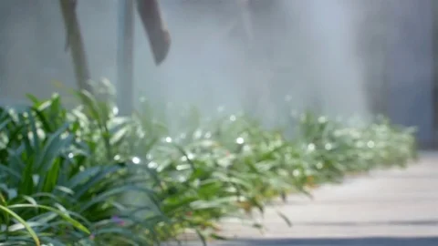 Tree garden with water reduction Stock-Footage 77954958