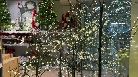 Tree garland with lights Stock Footage 253983021