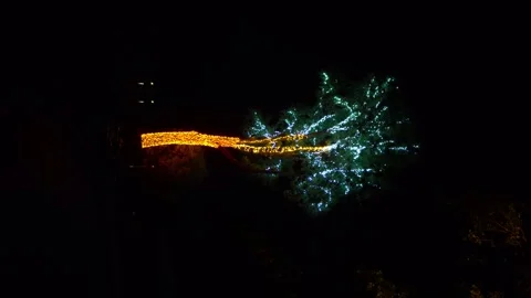 A tree in garlands glows at night. A tree near the shore decorated with light Stock Footage 246356522