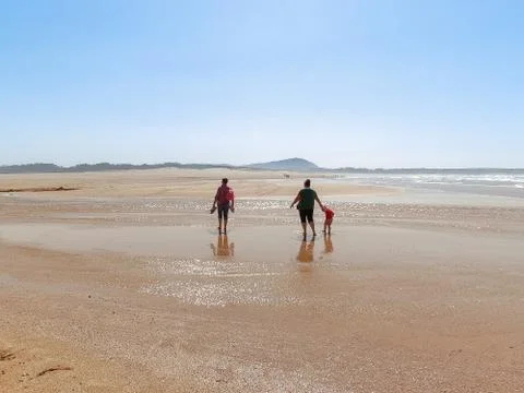 Tree generations Stock Photos