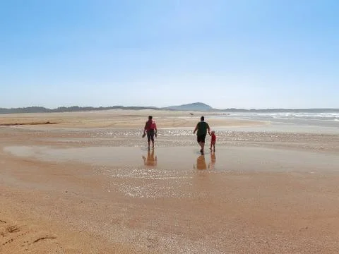 Tree generations Stock Photos