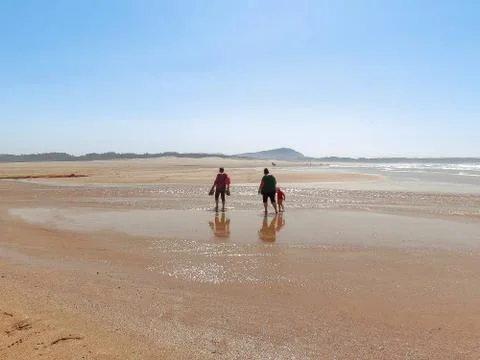 Tree generations Stock Photos