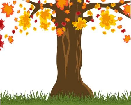 Tree on glade throws .Vector illustration autumn tree Stock Illustration