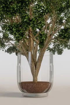 Tree in a glass isolated on white background Stock Illustration