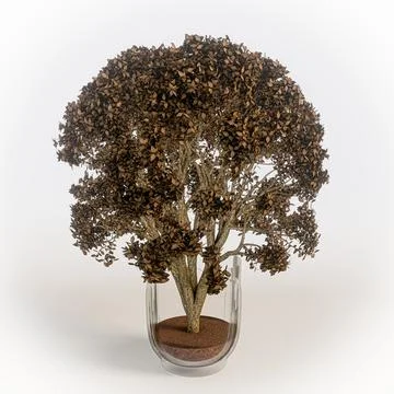 Tree in a glass isolated on white background Stock Illustration