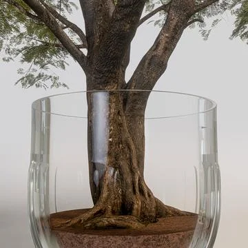 Tree in a glass isolated on white background Stock Illustration
