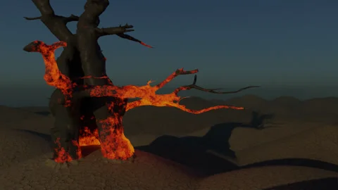 Tree Glow Stock Footage 142055352