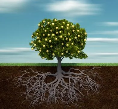 Tree with golden apple Stock Illustration
