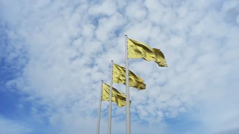 Tree golden flags against the sky waving in the wind Stock Footage 192400425
