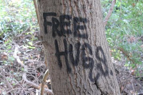 Tree graffiti Stock-Fotos